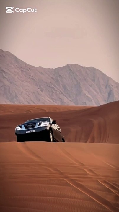 Experience the Ultimate Desert Safari Tour in Dubai.