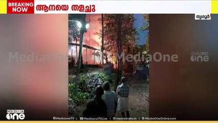 തൃശ്ശൂർ വരന്തരപ്പിള്ളി നന്തിപുലം പയൂർക്കാവ് ക്ഷേത്ര പൂരത്തിനിടെ  ആന വിരണ്ടു