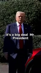 "Trump's Bold Plan to Protect Tesla: Ending Violence Against EVs!"