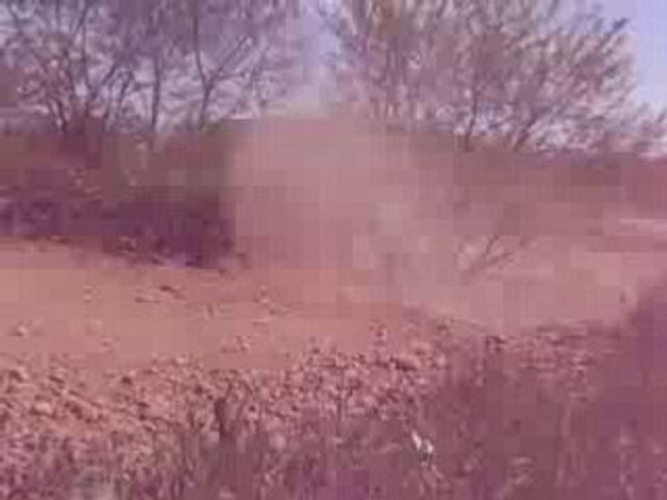 Mendes5