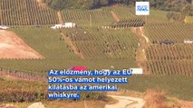 200%-os vámmal fenyegeti az európai alkoholtartalmú italokat Trump