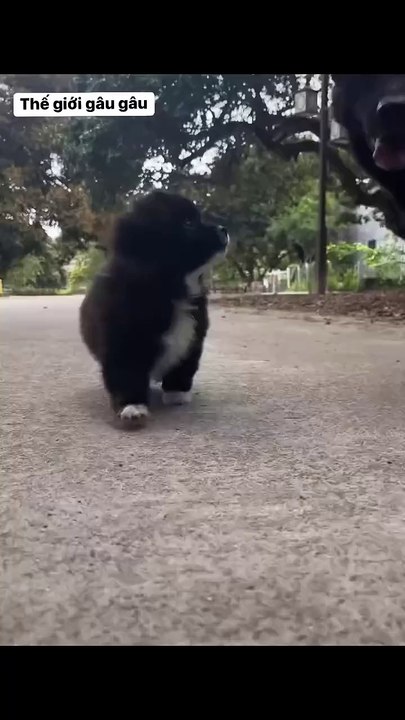 Even though I was scolded by my boss and scolded by customers, I still felt that today was not unlucky at all