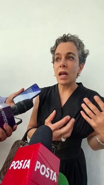 Vainilla en peligro, productores de Veracruz enfrentan robo de esquejes y competencia desleal