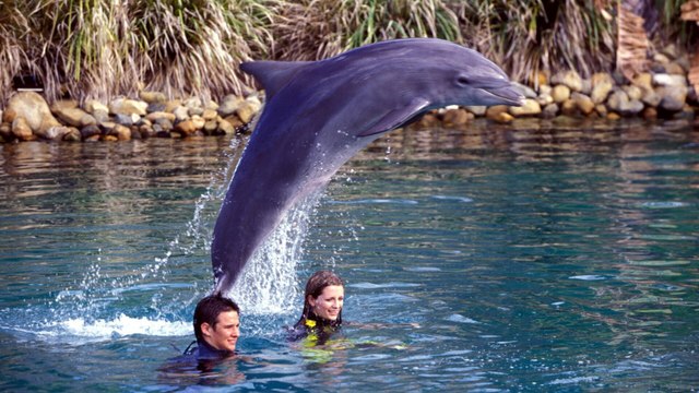 Des vacances inoubliables