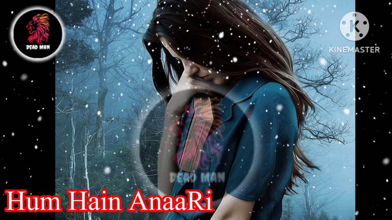 Hum hain anari