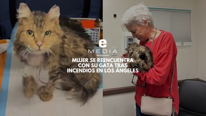 Anciana que perdió su casa en incendios de LA se reencuentra con su gata