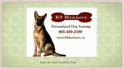 K9 Manners -  In Home Dog Training Whitby