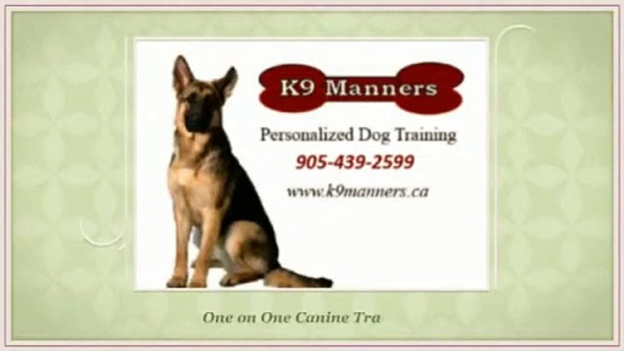 K9 Manners -  In Home Dog Training Whitby