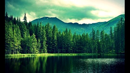 Deep Sleep Music: Relaxing Sounds for a Peaceful Night