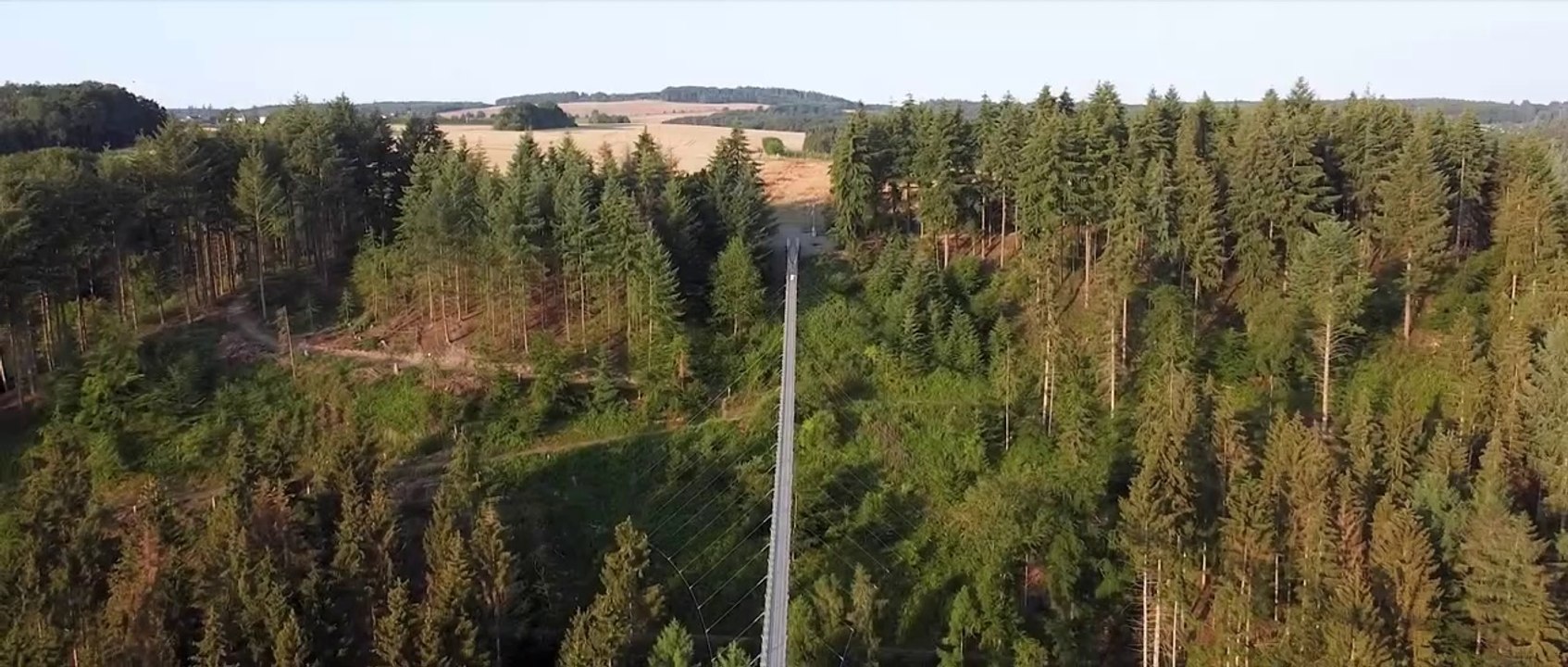 Geierlay Hängeseilbrücke in Deutschland - video Dailymotion