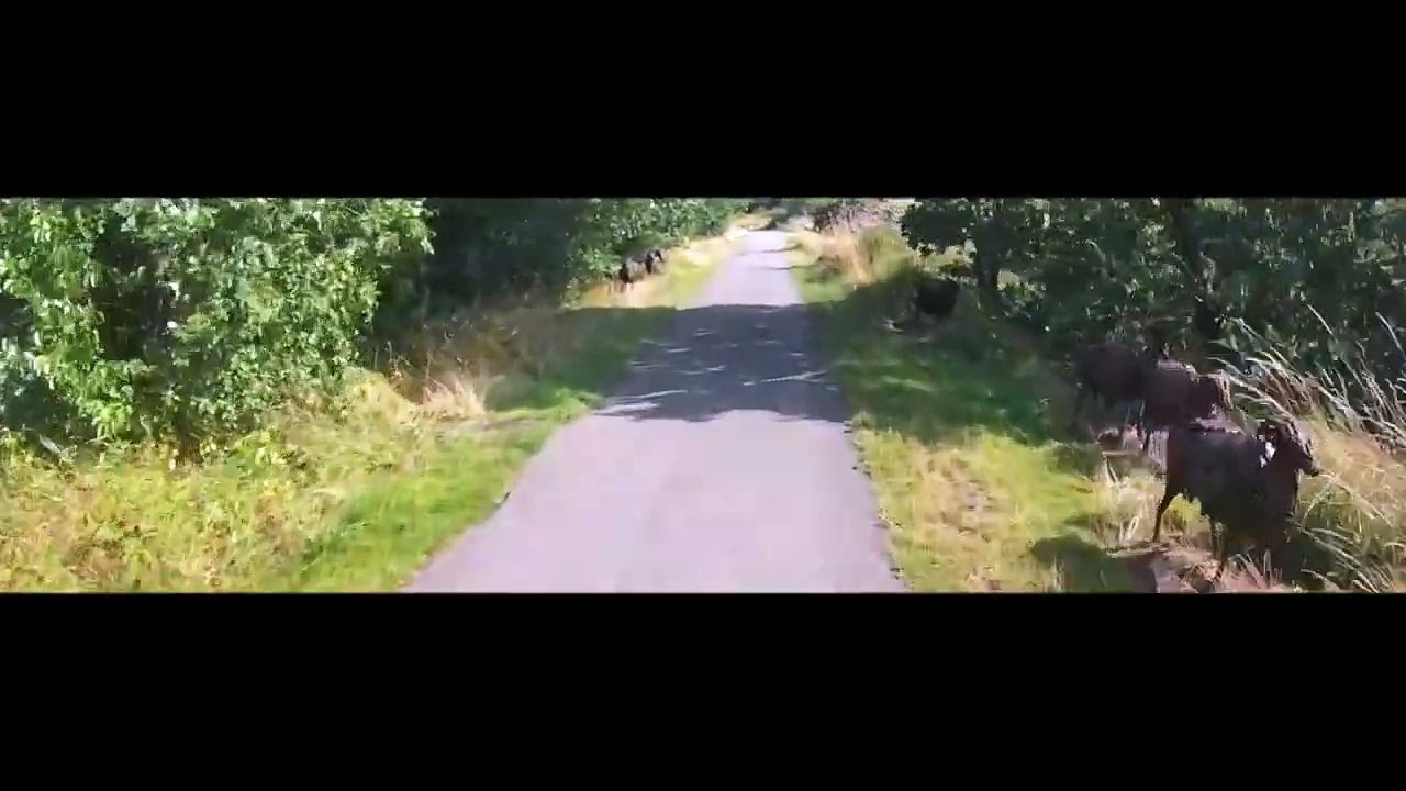MF67 HVV | Driver of white Volkswagen Tiguan close passes cyclist in Guiseley