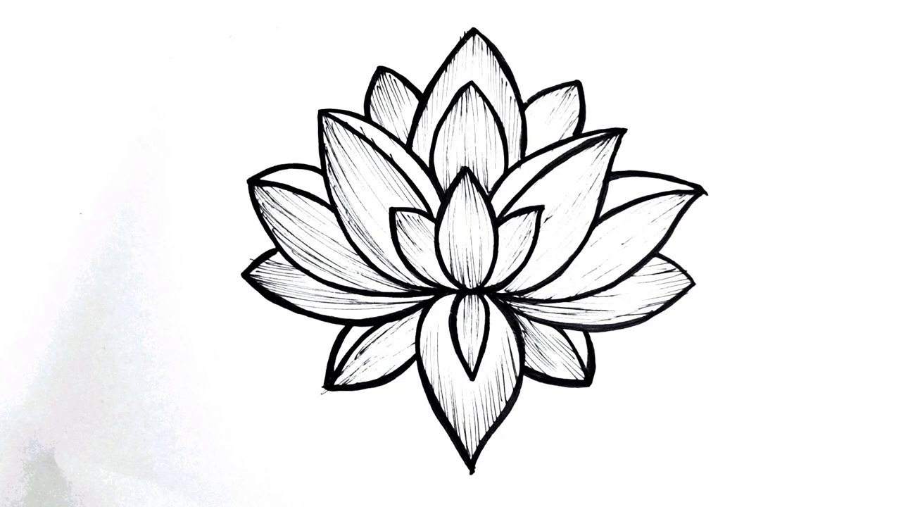 "How to Draw a Lotus Flower | Easy Step-by-Step Flower Drawing Tutorial"