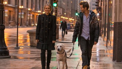 Qui garde le chien ?