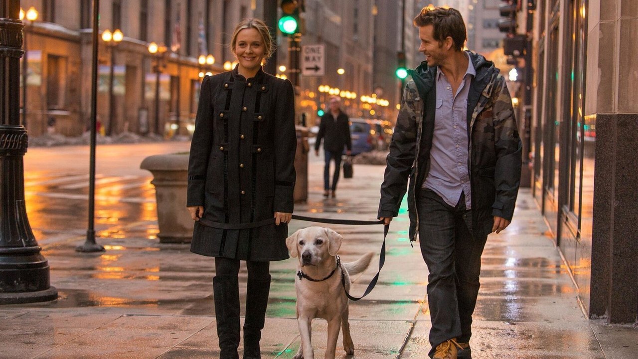 Qui garde le chien ?