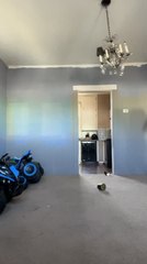 Woman's Flip Takes an Unexpected Turn as She Collides with Chandelier