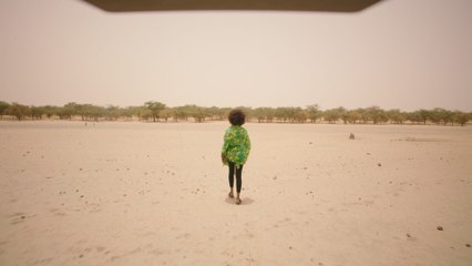 The Great Green Wall