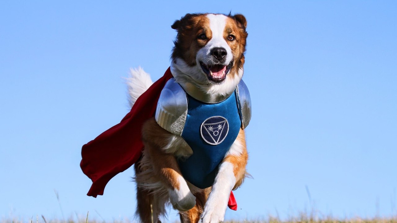 Les copains super-héros