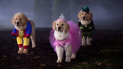 Les copains et la légende du chien maudit