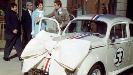 Un amour de Coccinelle