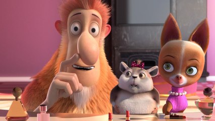 Pets United : L'union fait la force