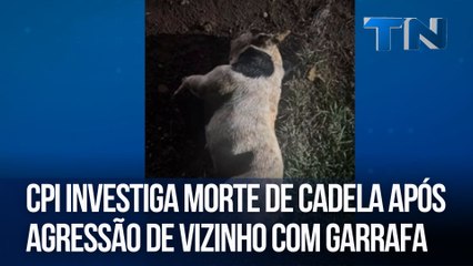 CPI investiga morte de cadela após agressão de vizinho com garrafa