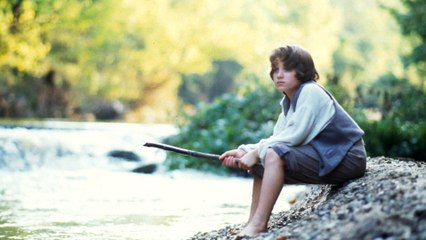 Les aventures de Huckleberry Finn