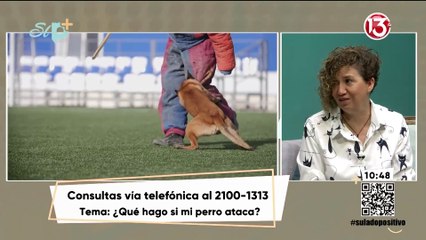 Entrevista - ¿Qué hago si mi perro ataca?