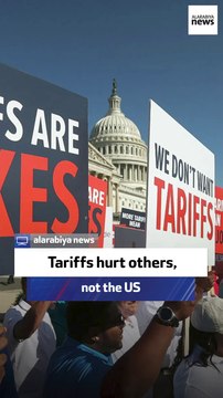 Economist: Tariffs will hurt US trading partners