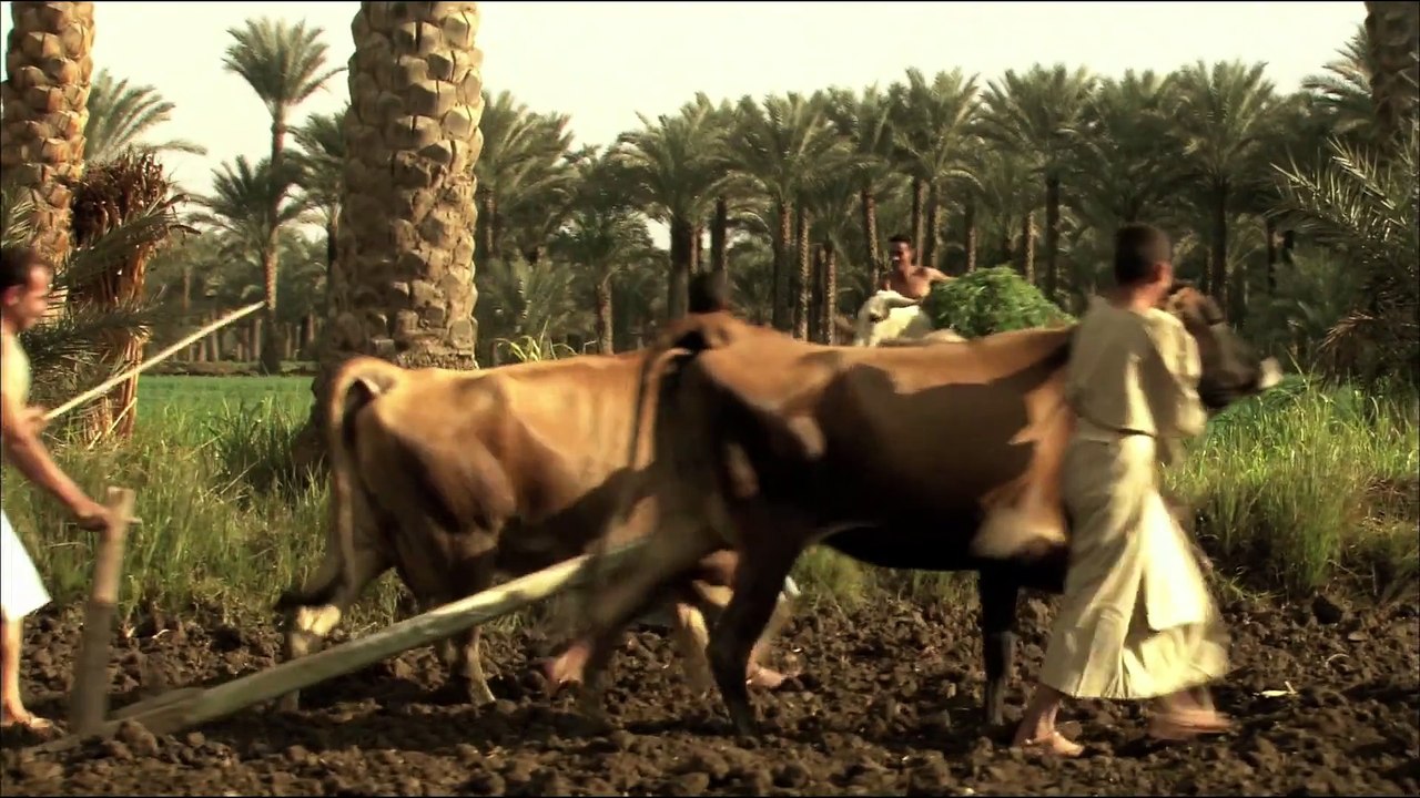 Quest for the Lost Pharaoh Discovery Channel Documentary