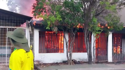 Bomberos rescata a adulta mayor y tres animales durante incendio