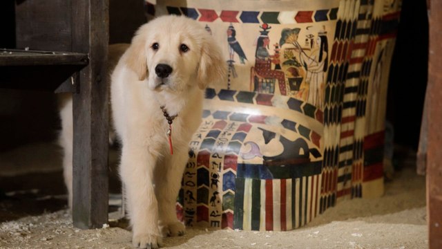 Les copains chasseurs de trésors