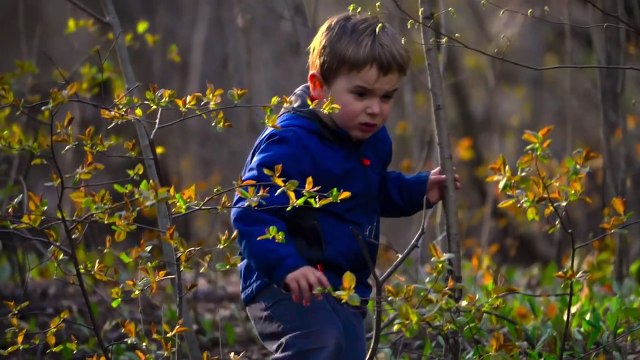 Nature's Playground Kids Exploring the Forest _ Kids in the Wild_ Forest Adventures and Fun _ 2025