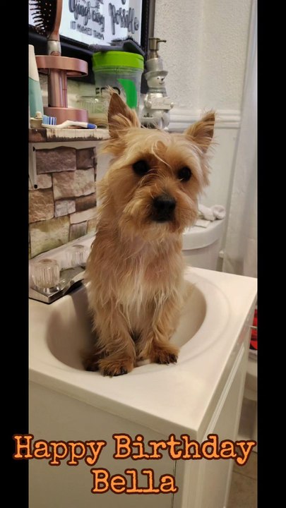 Bella, you are so cute