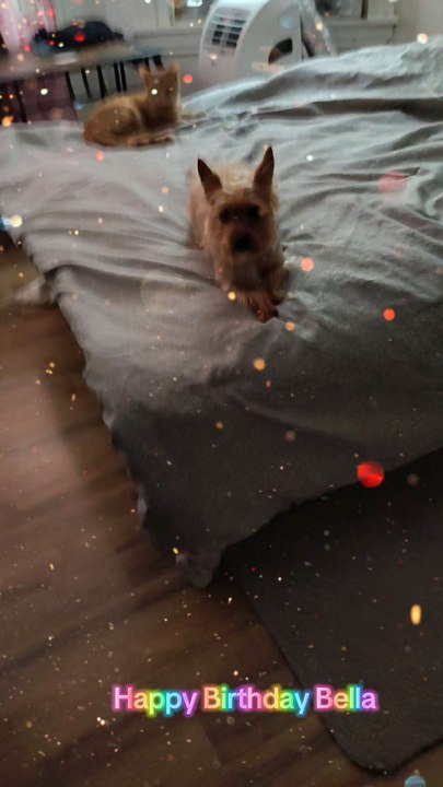 Happy birthday, Bella