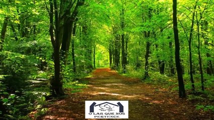 🚨 VOCÊ ACREDITA EM SINAIS? O Relato Impressionante de Um Aviso do Além!