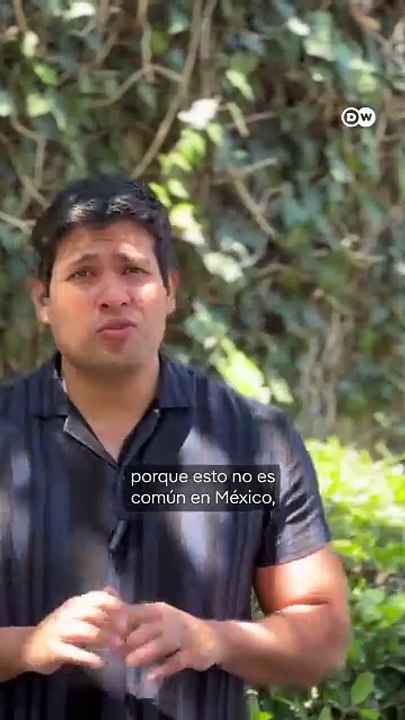 Por qué choca que extranjeros tomen el sol en CDMX