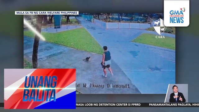 Chinese na nag-viral matapos manipa ng pusa, ipapa-deport matapos mabistong overstaying sa bansa; wala siyang pahayag | Unang Balita