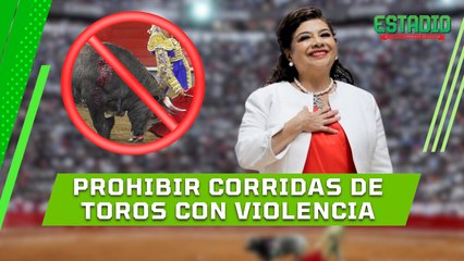 Espectáculo taurino libre de VIOLENCIA | Estadio Deportes