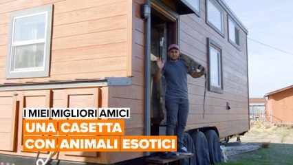 I miei migliori amici: un pitone, un'iguana e molti altri!