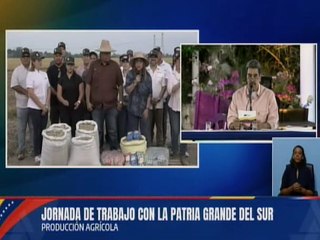 Inicia ciclo Norte-Verano de cosecha de arroz en Portuguesa
