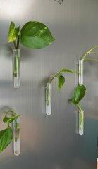 Conseils de jardinage que toute personne à la main verte devrait connaître !