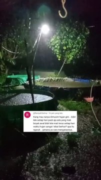 Tips budidaya ikan lele disaat musim hujan