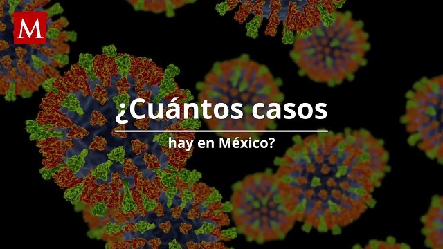 Brote de sarampión: ¿Cuántos casos hay confirmados y en qué estados de México?