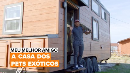 Meu melhor amigo: Cobra, iguana e muitos mais.