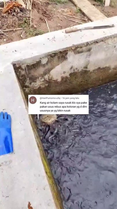 Sekiranya belum siap dengan konsekuensi nya, jangan menggunakan pakan laternatif
