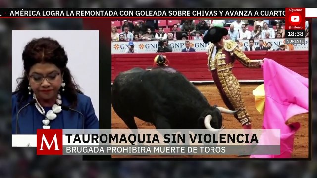Clara Brugada propone corridas sin dañar a los animales