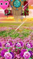 Beautiful colorful area