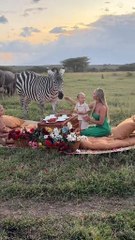 Amazing African wildlife #animallife #travel