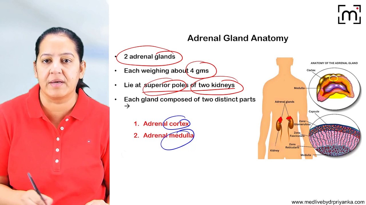 7. Pheochromocytoma