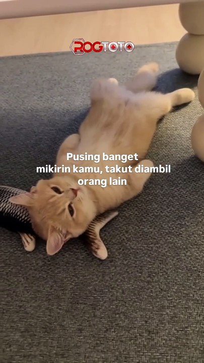 rogtoto